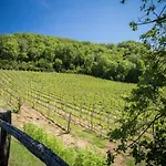 A Vineyard Retreat