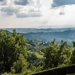 A Vineyard Retreat * Greve in Chianti