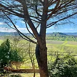 A Vineyard Retreat