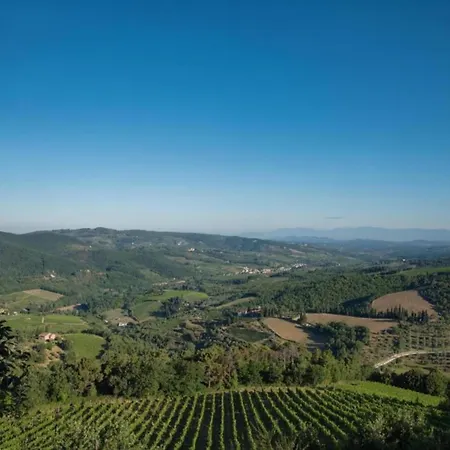A Vineyard Retreat