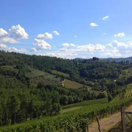 A Vineyard Retreat Lejlighed Greve in Chianti