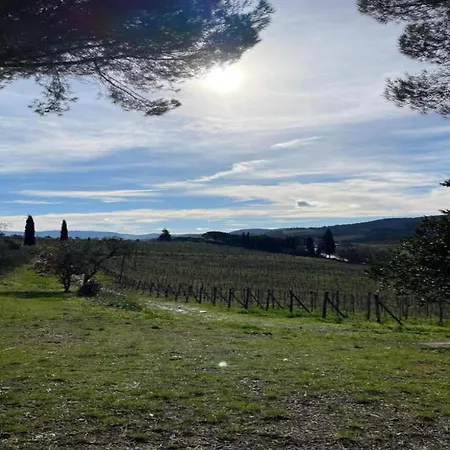 A Vineyard Retreat * Greve in Chianti