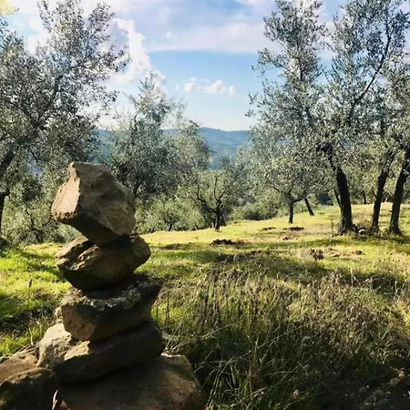 Lejlighed A Vineyard Retreat